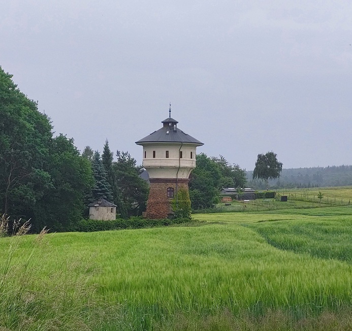 Pfalzfeld - 2025